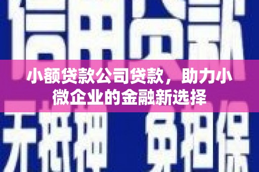 罗田小额贷款公司贷款，助力小微企业的金融新选择