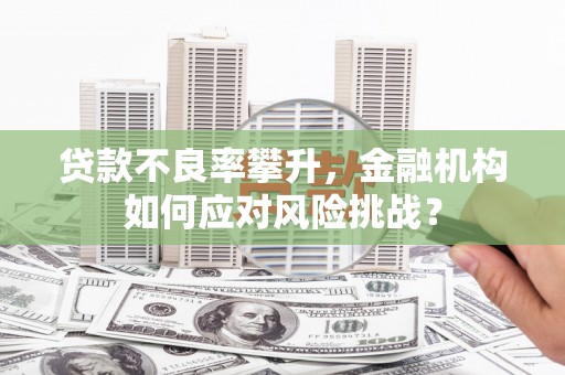 罗田贷款不良率攀升，金融机构如何应对风险挑战？