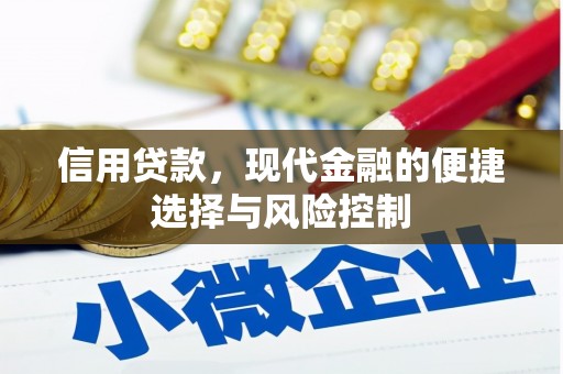 罗田信用贷款，现代金融的便捷选择与风险控制