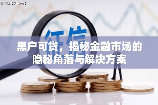 罗田黑户可贷，揭秘金融市场的隐秘角落与解决方案