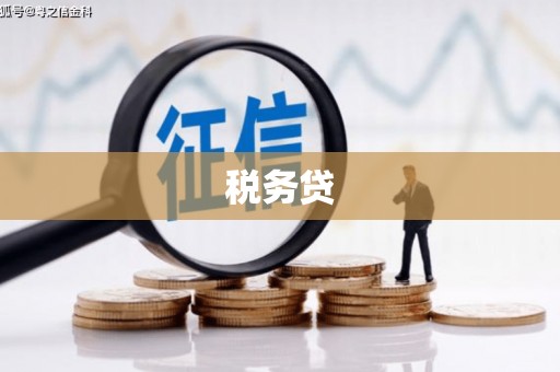 罗田税务贷