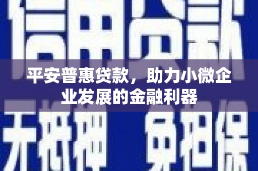 罗田平安普惠贷款，助力小微企业发展的金融利器