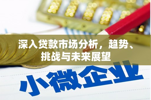 罗田深入贷款市场分析，趋势、挑战与未来展望