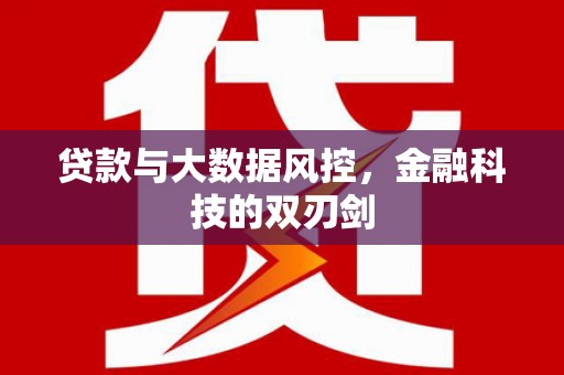 罗田贷款与大数据风控，金融科技的双刃剑