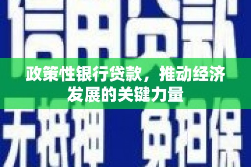 罗田政策性银行贷款，推动经济发展的关键力量