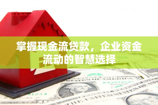 罗田掌握现金流贷款，企业资金流动的智慧选择