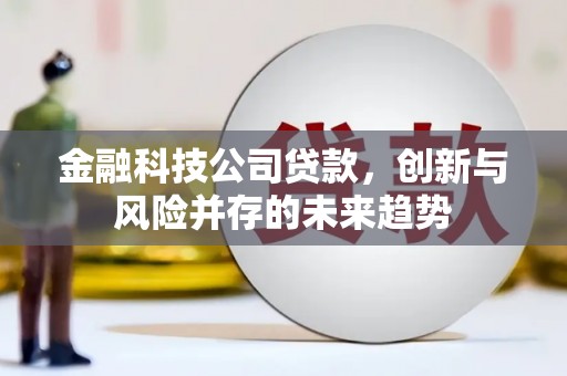 罗田金融科技公司贷款，创新与风险并存的未来趋势