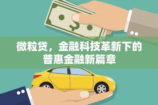罗田微粒贷，金融科技革新下的普惠金融新篇章