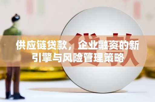 罗田供应链贷款，企业融资的新引擎与风险管理策略