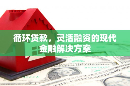 罗田循环贷款，灵活融资的现代金融解决方案