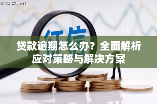 罗田贷款逾期怎么办？全面解析应对策略与解决方案