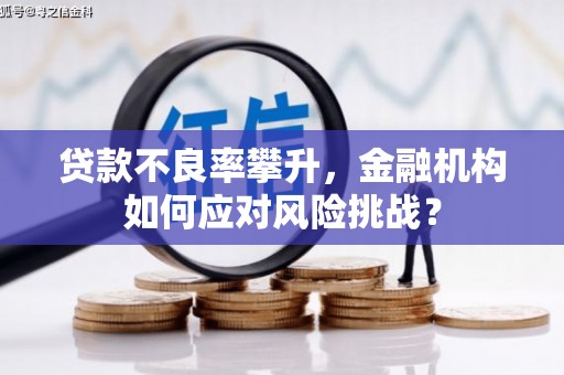 罗田贷款不良率攀升，金融机构如何应对风险挑战？