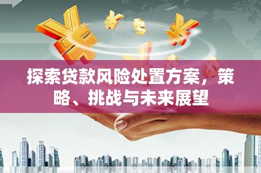 罗田探索贷款风险处置方案，策略、挑战与未来展望