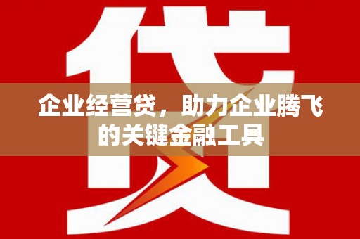罗田企业经营贷，助力企业腾飞的关键金融工具