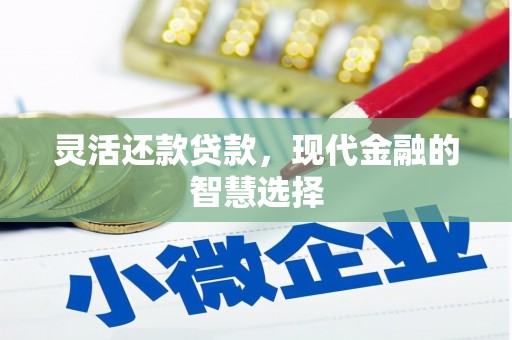 罗田灵活还款贷款，现代金融的智慧选择