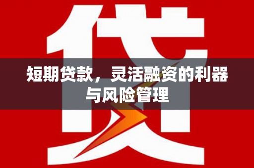罗田短期贷款，灵活融资的利器与风险管理