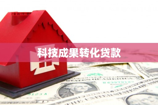 罗田科技成果转化贷款