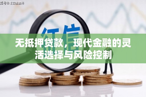 罗田无抵押贷款，现代金融的灵活选择与风险控制