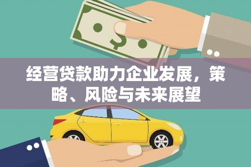 罗田经营贷款助力企业发展，策略、风险与未来展望