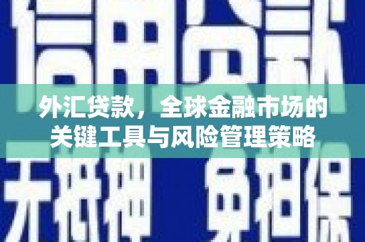罗田外汇贷款，全球金融市场的关键工具与风险管理策略
