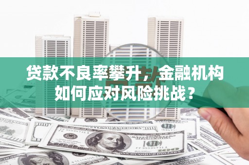 罗田贷款不良率攀升，金融机构如何应对风险挑战？