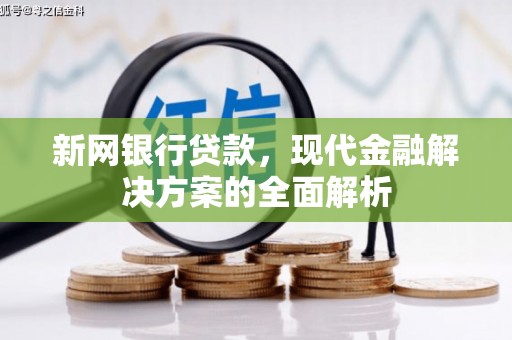 罗田新网银行贷款，现代金融解决方案的全面解析