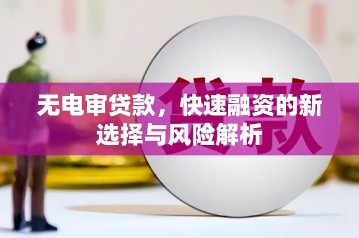 罗田无电审贷款，快速融资的新选择与风险解析