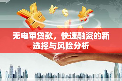 罗田无电审贷款，快速融资的新选择与风险分析