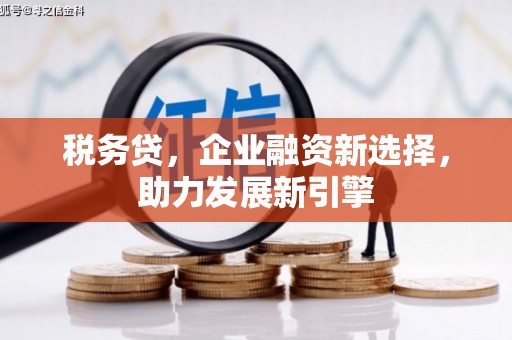 罗田税务贷，企业融资新选择，助力发展新引擎