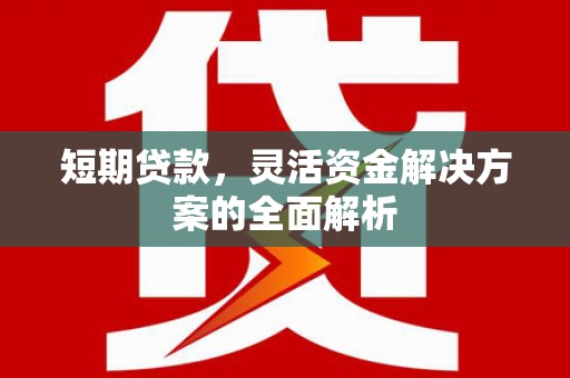 罗田短期贷款，灵活资金解决方案的全面解析
