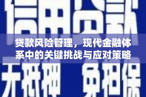 罗田贷款风险管理，现代金融体系中的关键挑战与应对策略