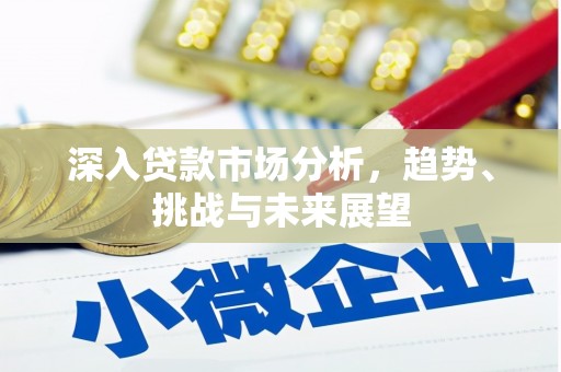 罗田深入贷款市场分析，趋势、挑战与未来展望