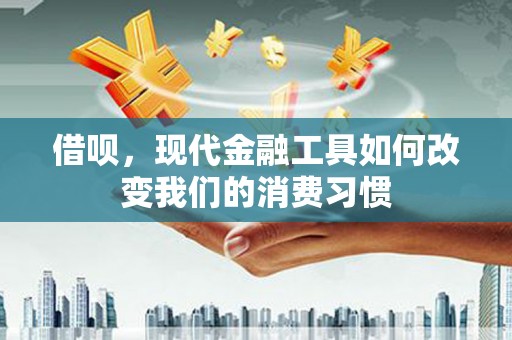 罗田借呗，现代金融工具如何改变我们的消费习惯