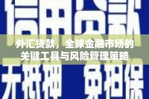 罗田外汇贷款，全球金融市场的关键工具与风险管理策略
