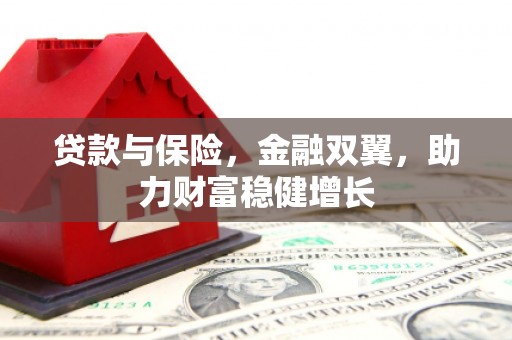 罗田贷款与保险，金融双翼，助力财富稳健增长