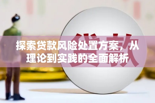 罗田探索贷款风险处置方案，从理论到实践的全面解析