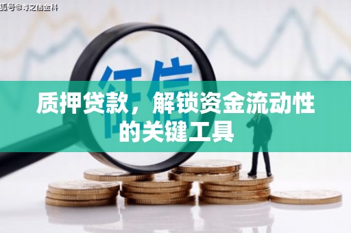 罗田质押贷款，解锁资金流动性的关键工具