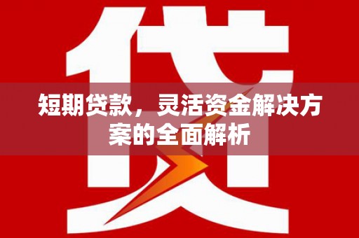 罗田短期贷款，灵活资金解决方案的全面解析