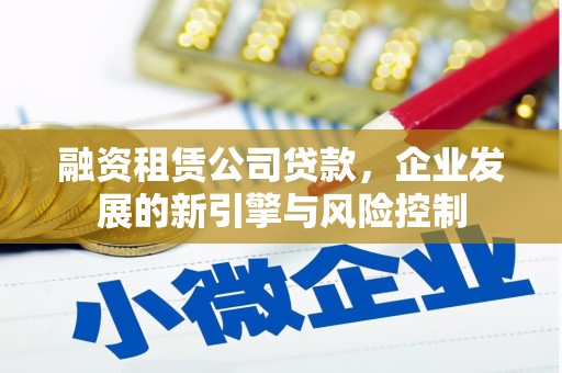 罗田融资租赁公司贷款，企业发展的新引擎与风险控制