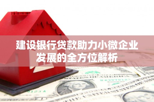 罗田建设银行贷款助力小微企业发展的全方位解析