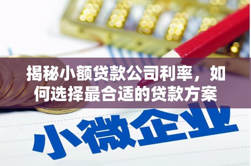 罗田揭秘小额贷款公司利率，如何选择最合适的贷款方案