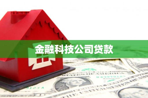 罗田金融科技公司贷款
