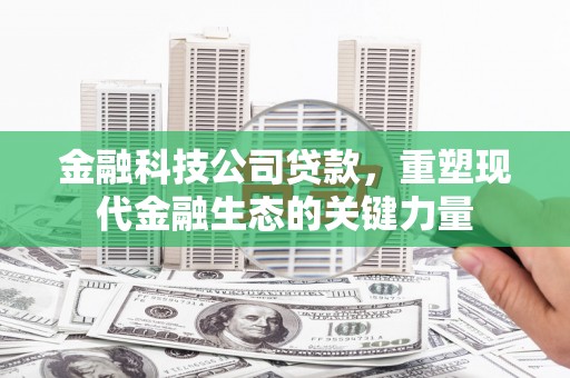 罗田金融科技公司贷款，重塑现代金融生态的关键力量