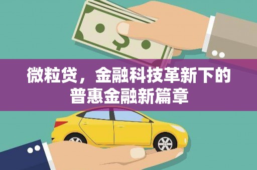 罗田微粒贷，金融科技革新下的普惠金融新篇章