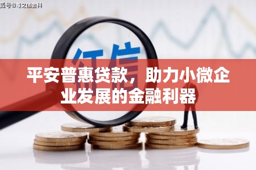 罗田平安普惠贷款，助力小微企业发展的金融利器