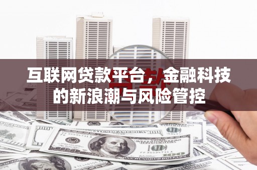 罗田互联网贷款平台，金融科技的新浪潮与风险管控