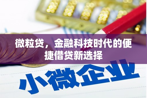 罗田微粒贷，金融科技时代的便捷借贷新选择