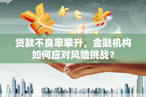 罗田贷款不良率攀升，金融机构如何应对风险挑战？