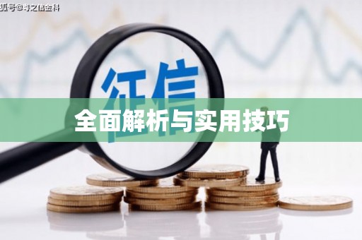 罗田全面解析与实用技巧