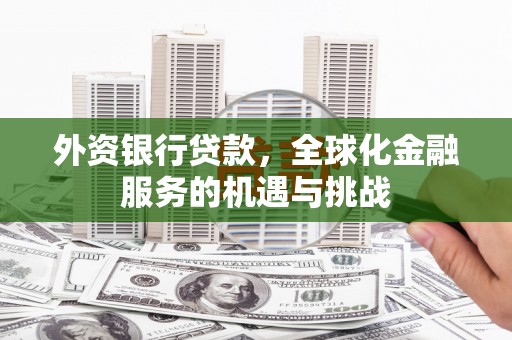 罗田外资银行贷款，全球化金融服务的机遇与挑战